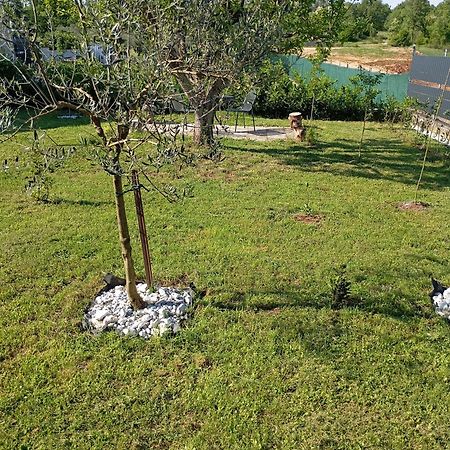 Apartman Jenny-Porec Kosinozici Zewnętrze zdjęcie